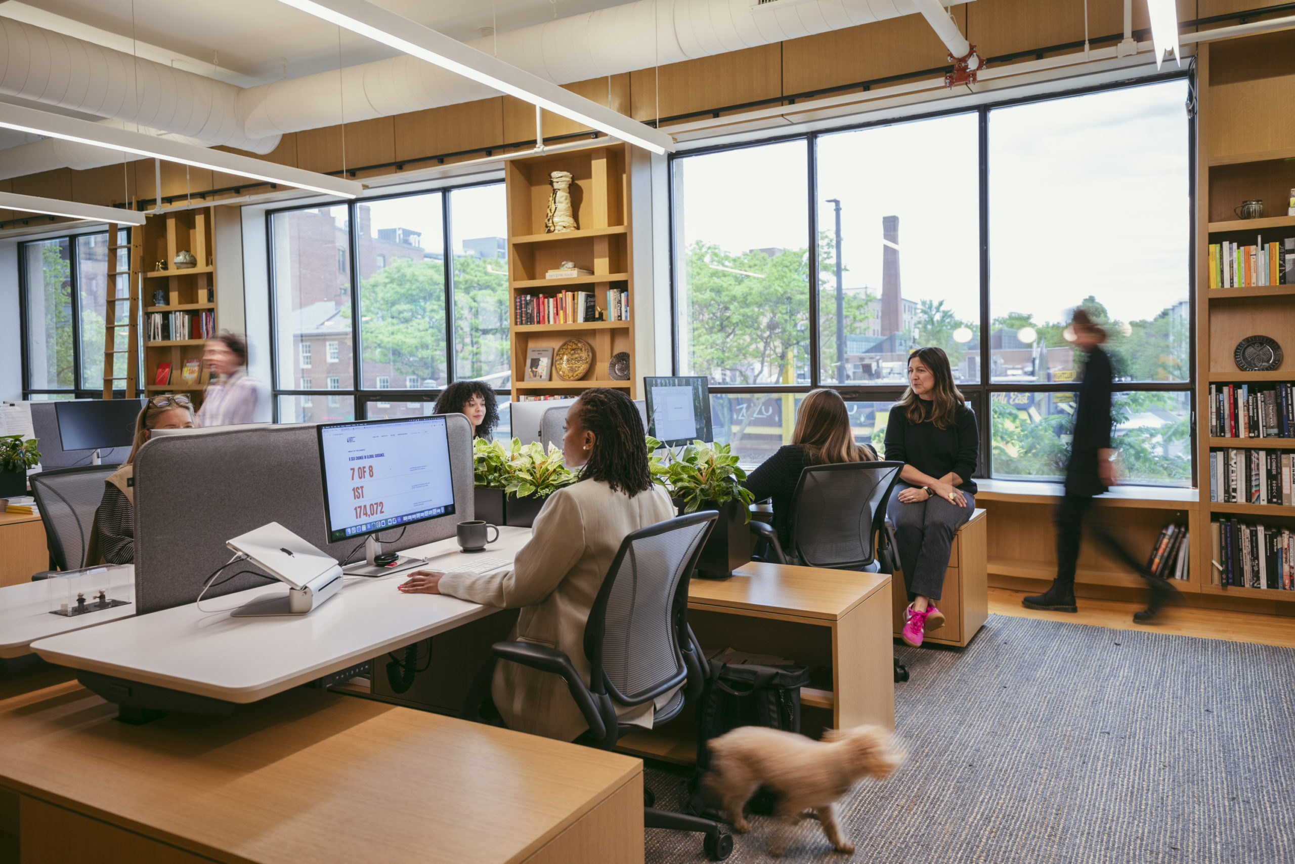 Modern office space with people working at desks and having a meeting by large windows. Bookshelves line the walls, greenery decorates the area, and a small dog walks across the carpeted floor.