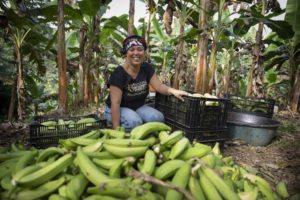 A woman smiles while kneeling among black crates and a large pile of harvested plantains in a banana grove, surrounded by green banana trees.