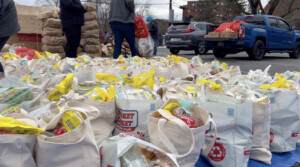 Dozens of reusable grocery bags filled with food items are laid out in a parking lot while people stand nearby and cars are loaded with bags of produce, suggesting a food distribution event.