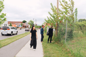 Three people walk on a sidewalk beside a road; two are looking at or picking something from trees behind a fence, while one walks ahead. Cars and buildings are visible in the background.