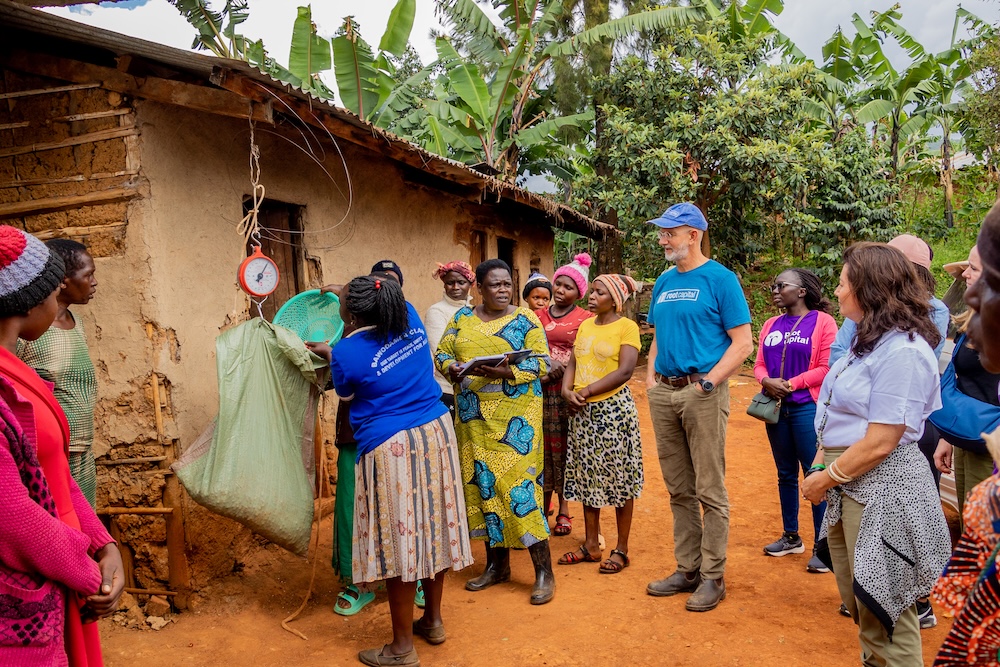 A group of people gathers outside a rustic building as a large bag is weighed on a hanging scale, with some watching and others participating. Lush greenery surrounds the scene.