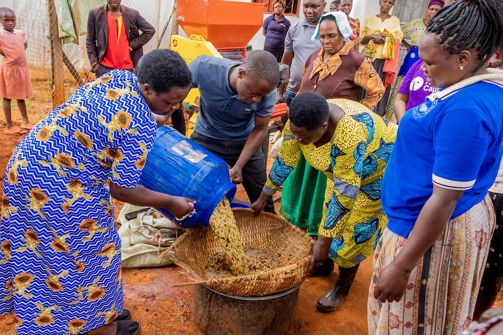 Several people gather around a basket, pouring and processing a mixture of beans or seeds outdoors. Others watch the activity, standing on reddish soil with equipment and more people visible in the background.
